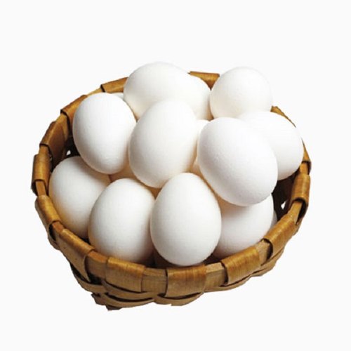 white poultry egg 500x500 1
