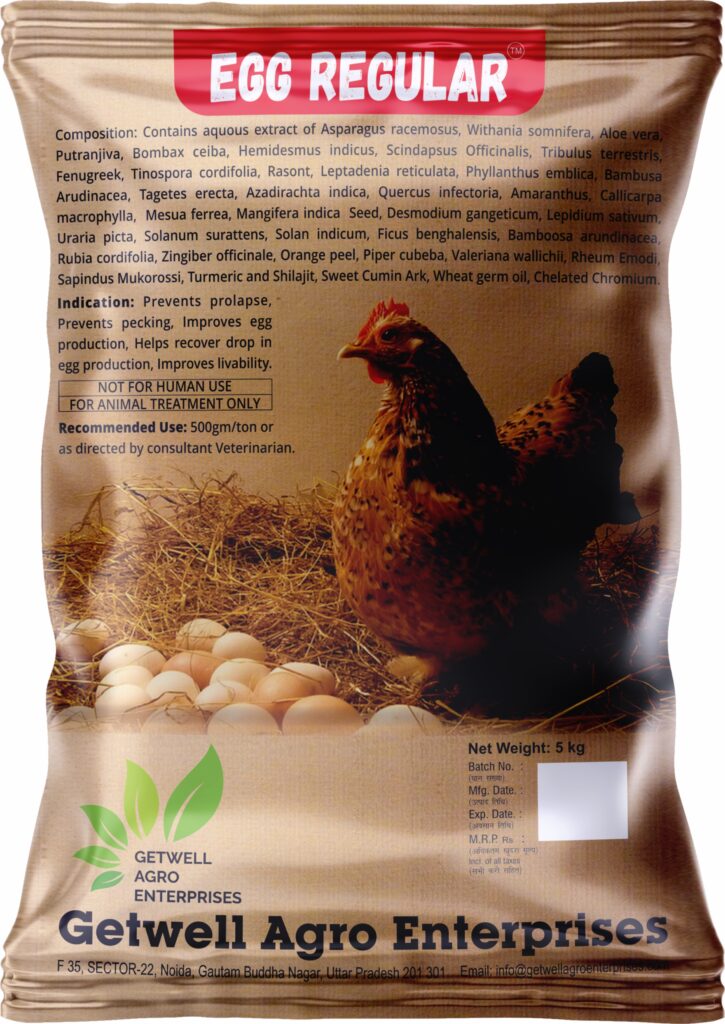 EGG-REGULAR-POULTRY-PRODUCT-MEDICINE